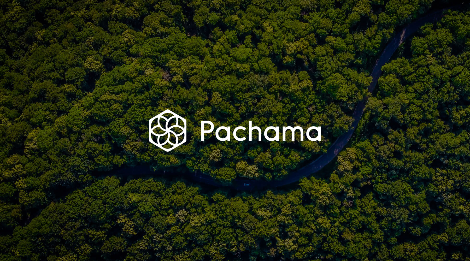 Pachama sustainability partner with v3 apparel womens activewear, gym clothing and fitness workout clothes providing seamless scrunch leggings and sports bras