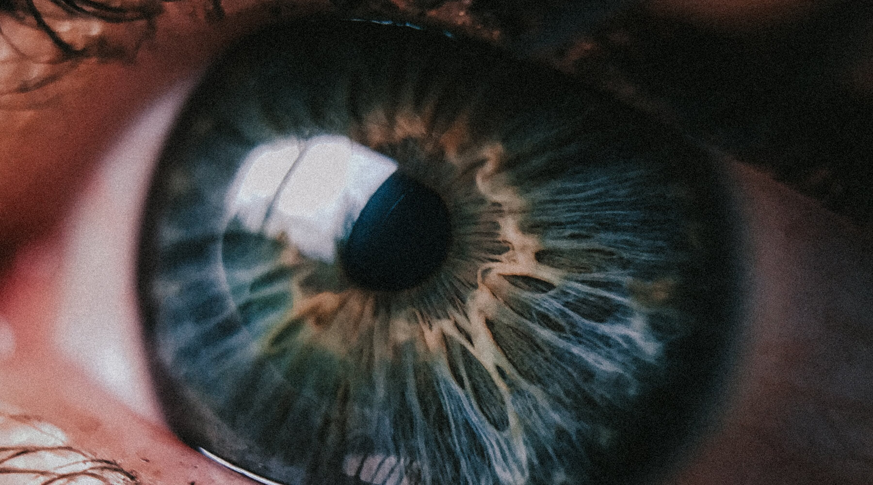 What Are The Health Benefits of Vitamin A - V3 Apparel seamless workout leggings, gym tights, fitness sports bras and tank top