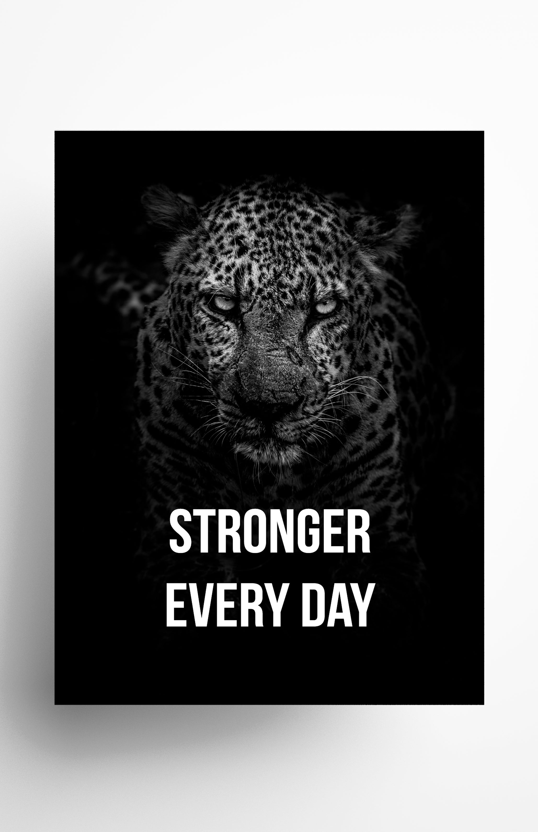 V3 Apparel womens Stronger Every Day, Motivational posters, mens inspirational wall artwork and empowering poster quote designs for office, home gym, school, kitchen and living room.